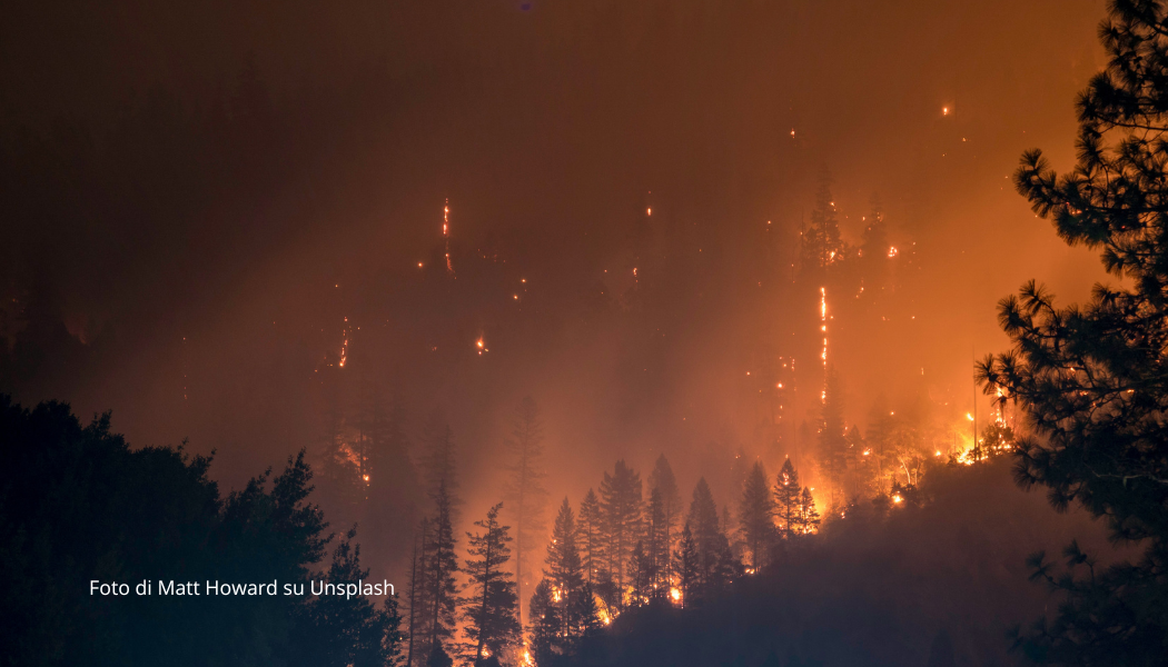 LA LOTTA AGLI INCENDI SI FA A FIAMME SPENTE CON LA SELVICOLTURA
